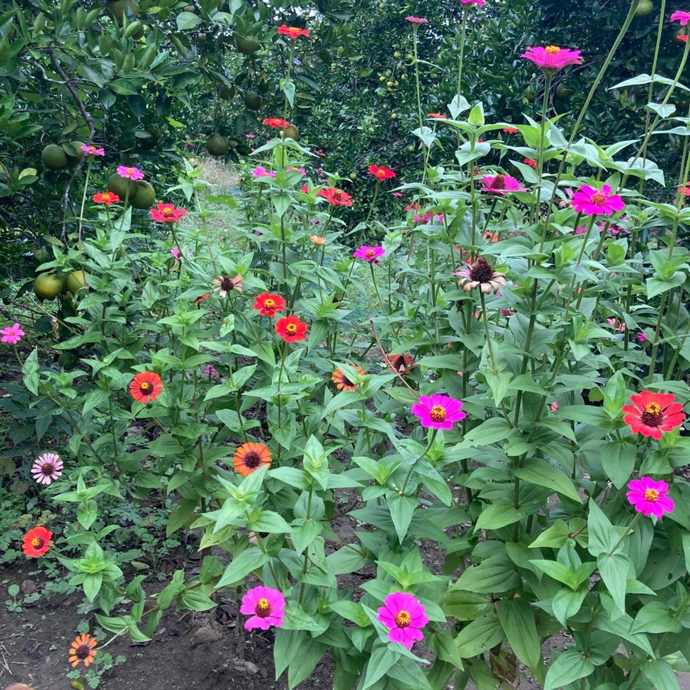 Meet your Posher, Patricia